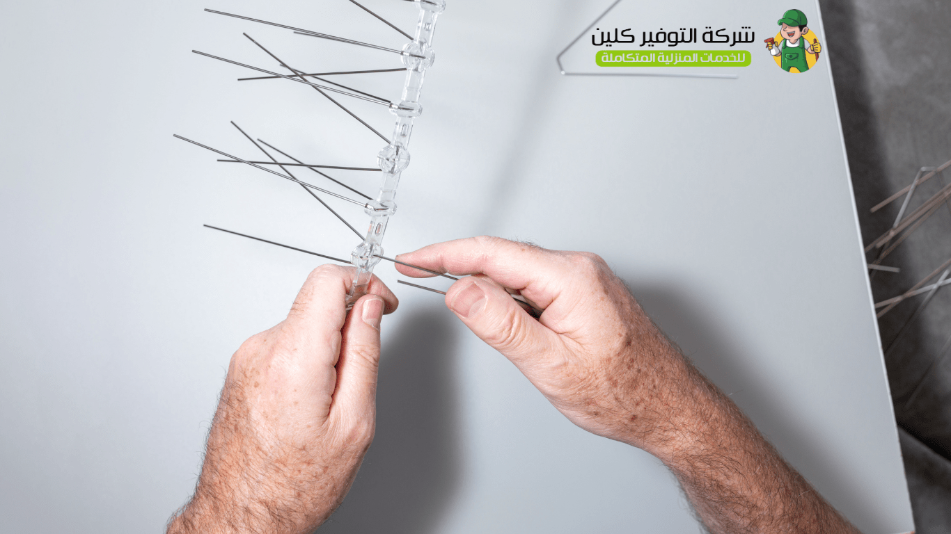 شركة مكافحة حمام بالرياض